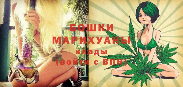 стафф Бородино