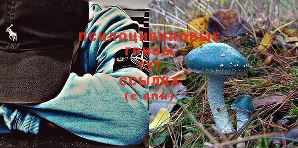 дмт Верея