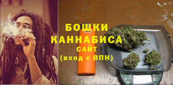 стафф Бородино