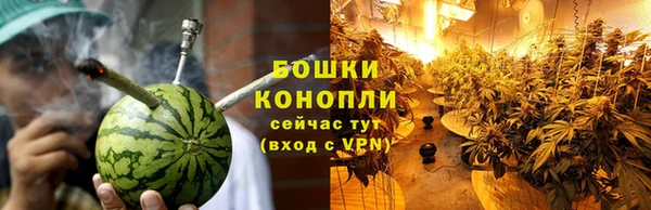 стафф Бородино