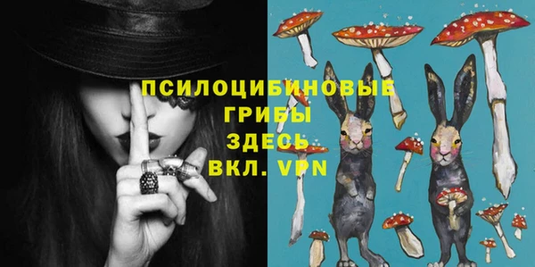 спиды Бронницы